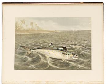 (FISH.) Samuel A. Kilbourne; and George Brown Goode. Game Fishes of the United States.